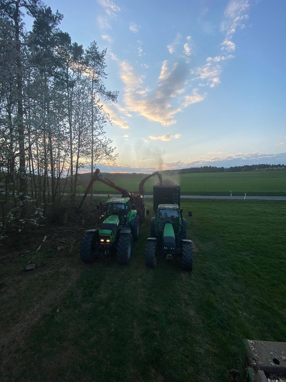 Waldlandschaft mit Sonnenlicht