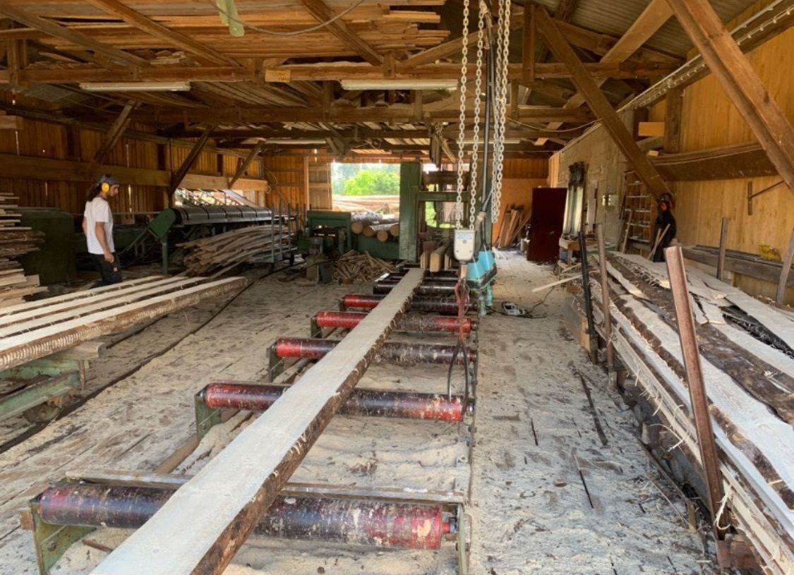 Innenansicht Sägehalle mit laufendem Sägeband