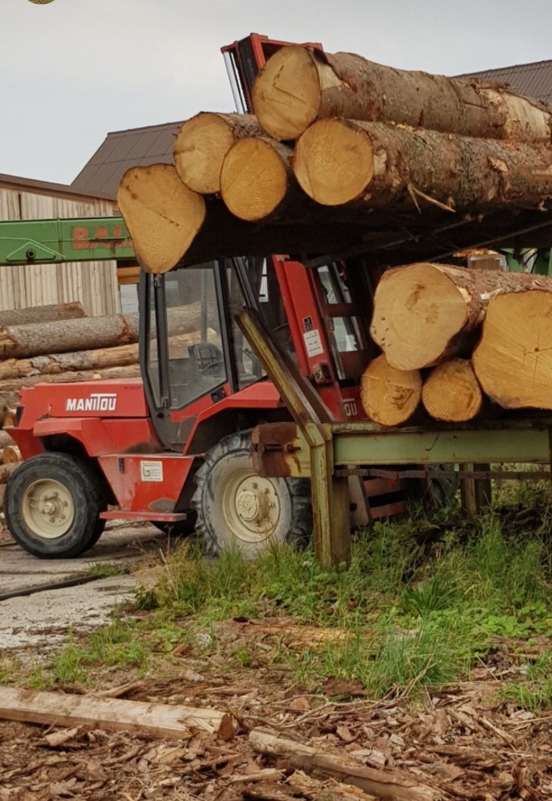Gestapelte Rundstämme beim Verladen am Sägewerk
