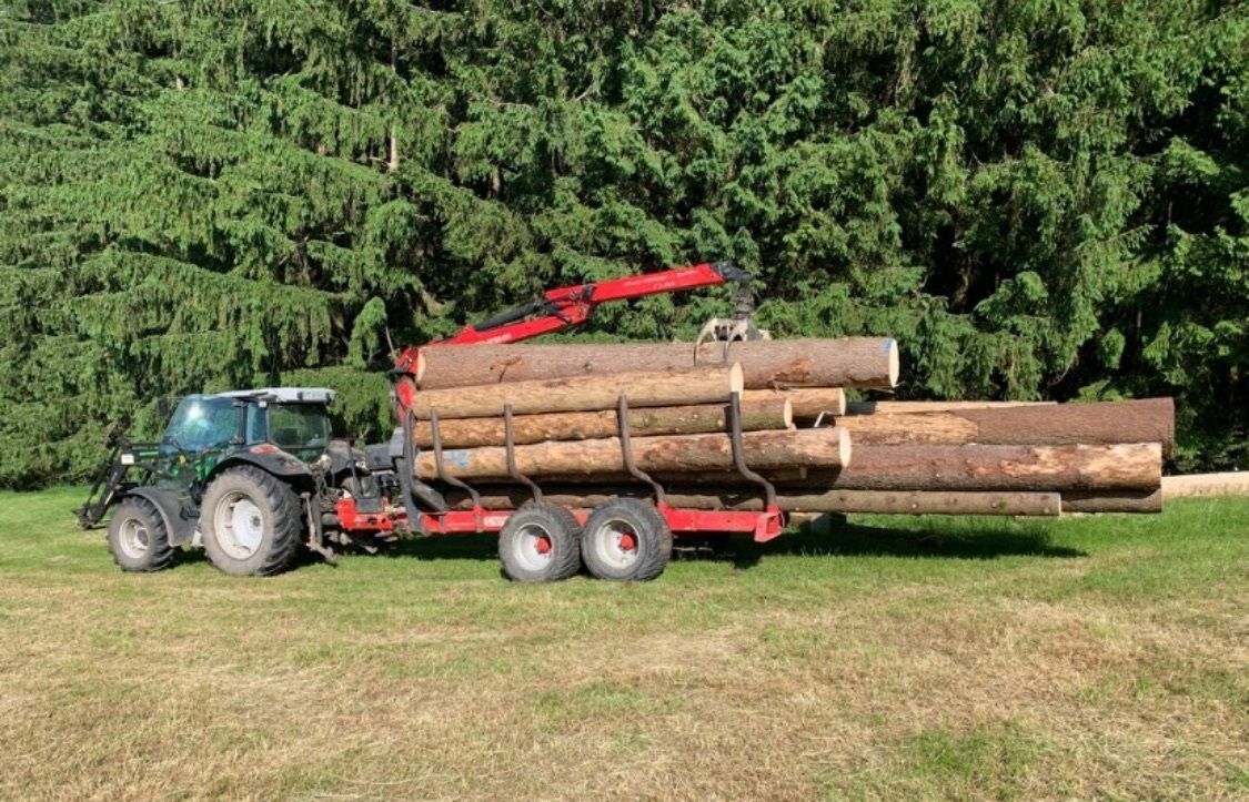 Holztransport mit Rückewagen auf Wiese