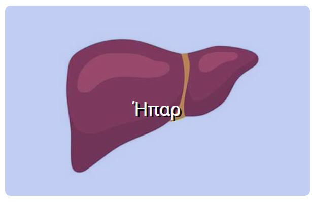 Ήπαρ