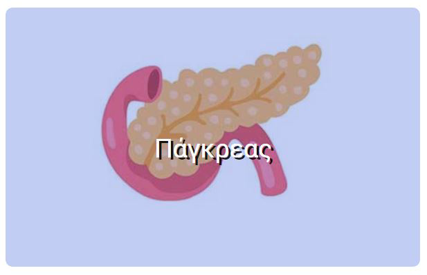 Πάγκρεας