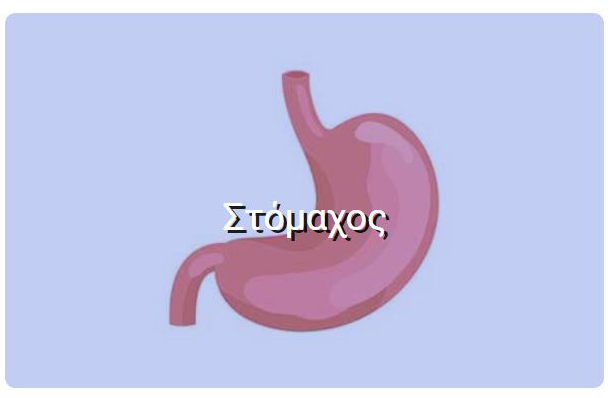 Στόμαχος