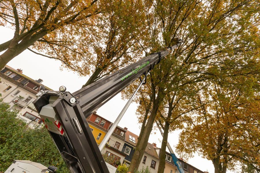 BGS Steffen Baier | Hebebühne