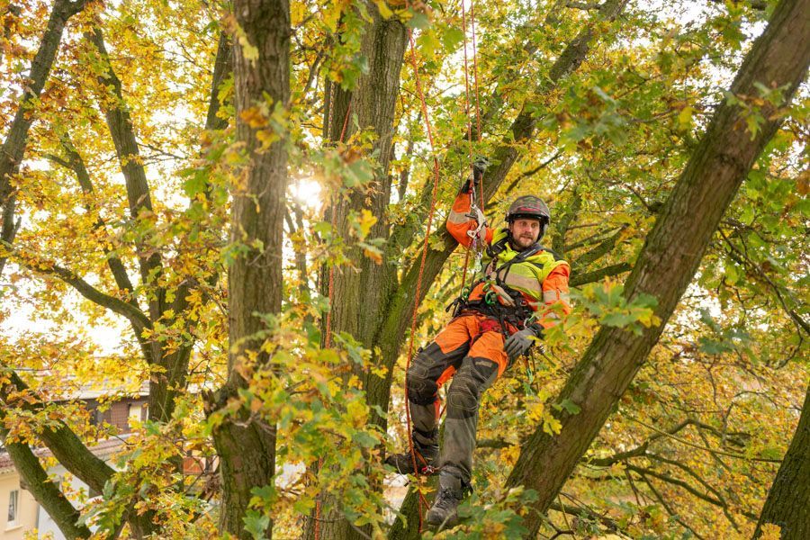BGS Steffen Baier und Team