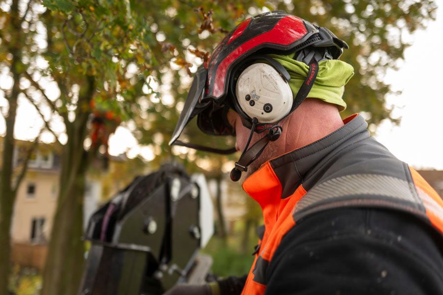 BGS Steffen Baier | Baumpflege