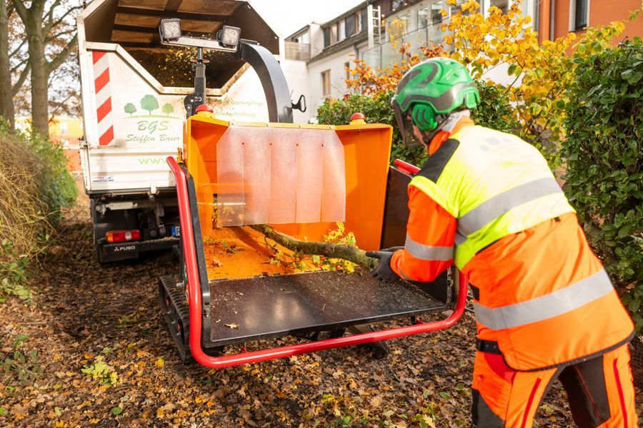 BGS Steffen Baier | Baumpflege