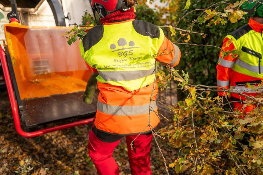 BGS Steffen Baier | Baumpflege