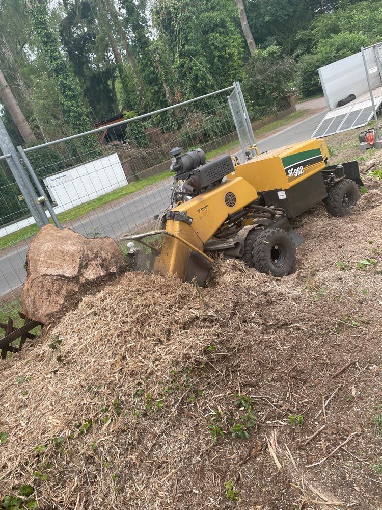 Entfernung von Wurzeln