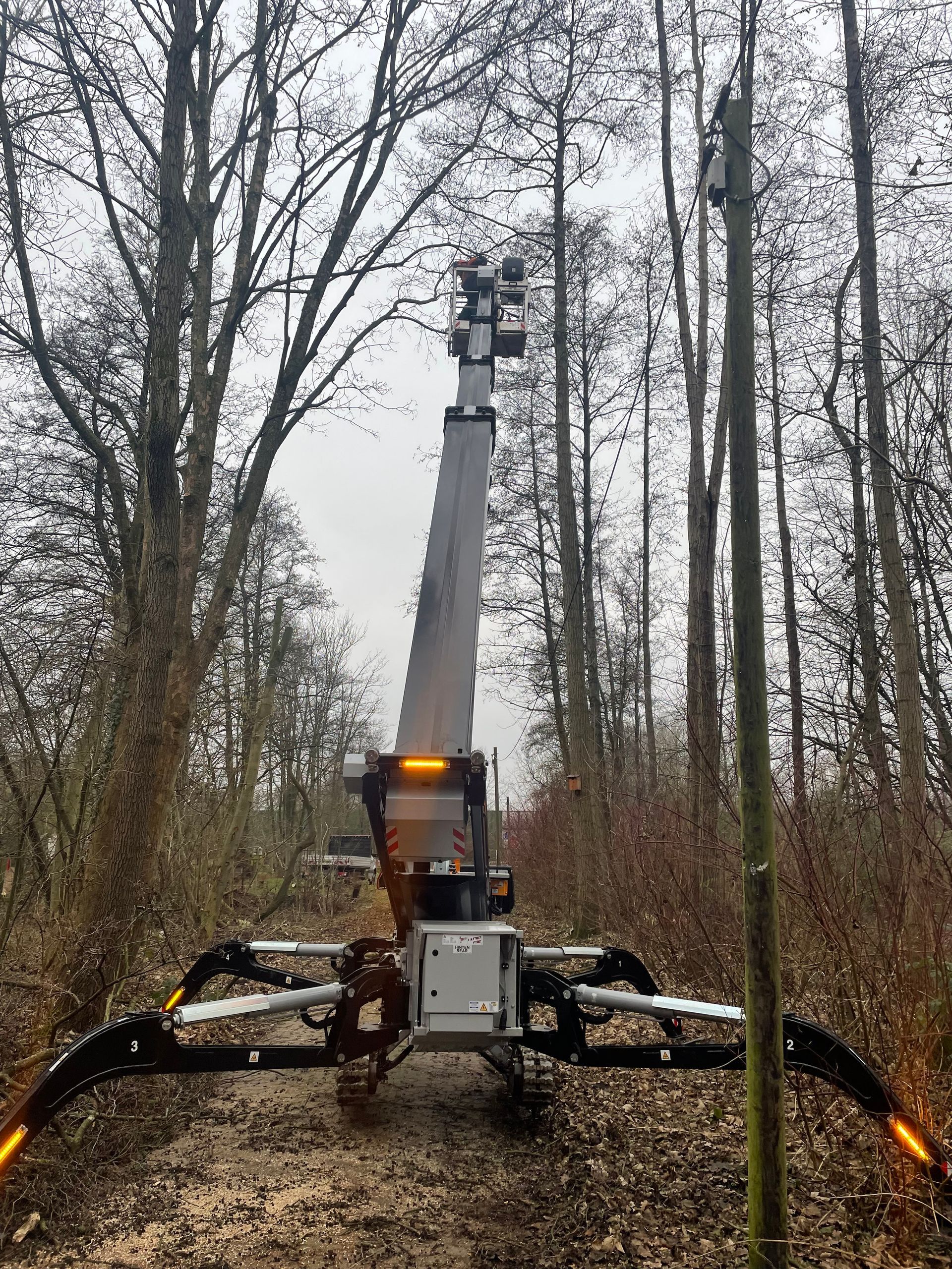Fehlentwicklungen