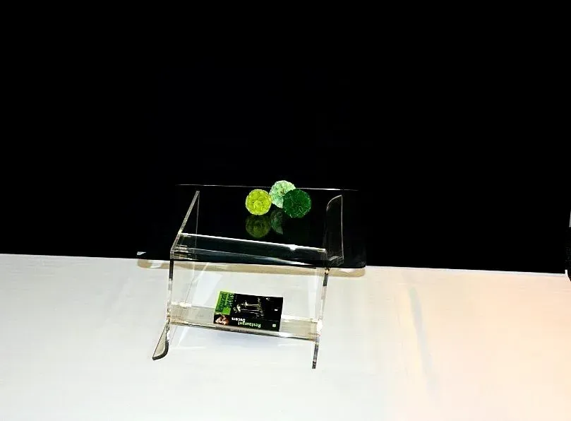 Una mesa de café de acrílico transparente con una planta encima.
