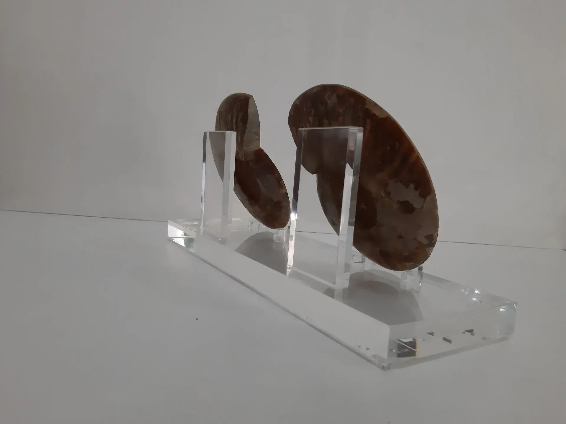 Dos rocas están colocadas sobre un soporte de exhibición de acrílico transparente.