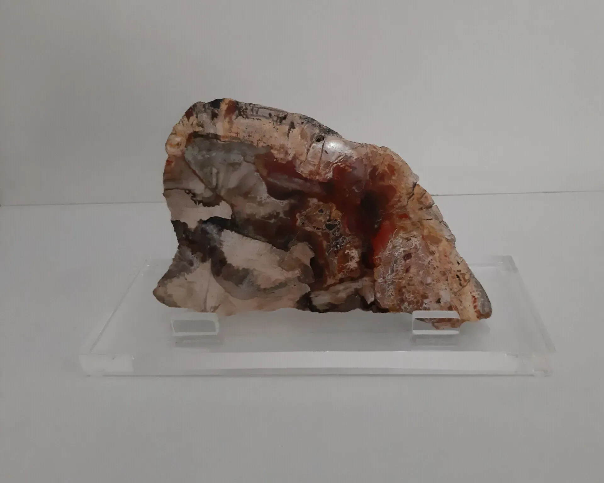 Un trozo de roca se encuentra sobre un soporte de exhibición transparente.