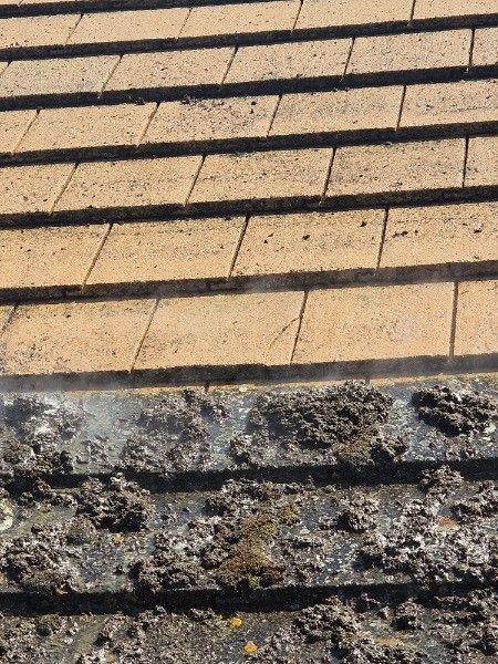 Tan roof shingles with a dark, damaged edge near the bottom