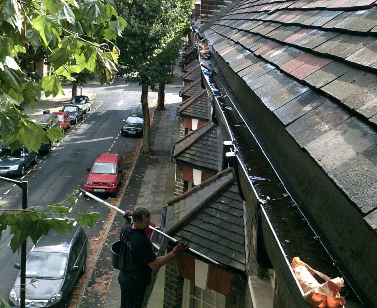 View from a rooftop over a tree-lined street with parked cars and a person standing near the edge