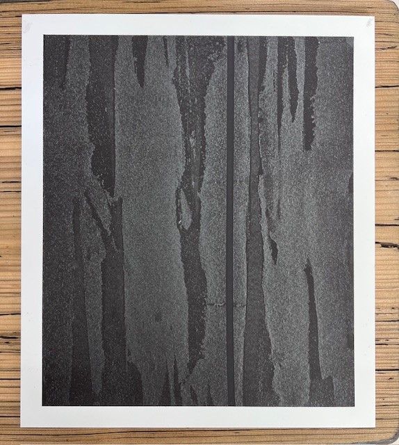 Une photo en noir et blanc d'une surface en bois | Giovannini Plâtrerie-Peinture Sàrl