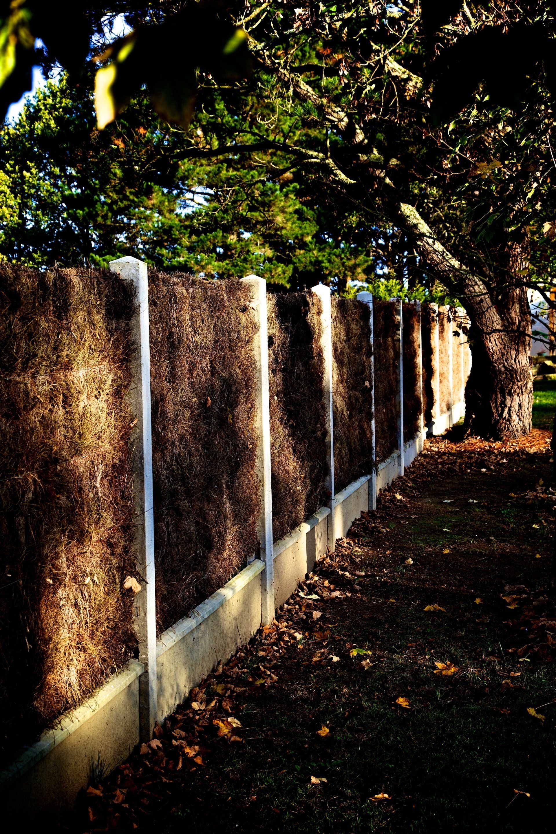 Cloture en béton et bois