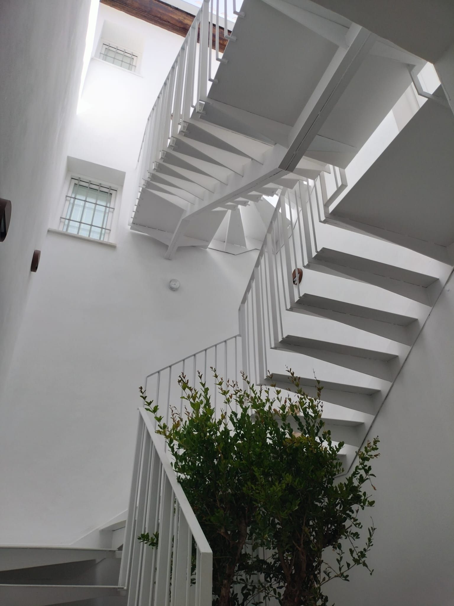 Escalera blanca con escalones metálicos en zigzag y un árbol verde en maceta debajo.