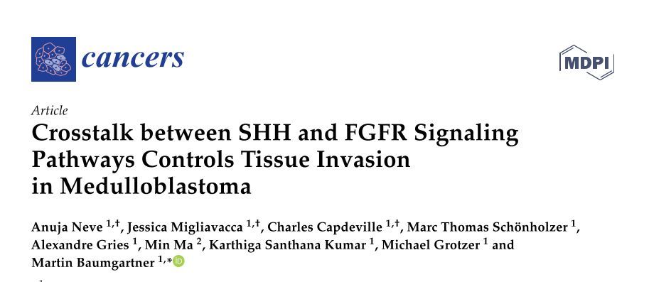 Pediatric Molecular Neuro-oncology Research