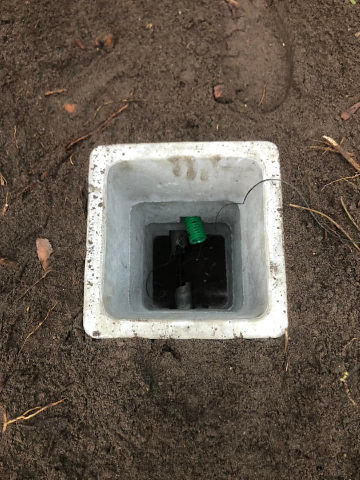 Regard sur gaine verte