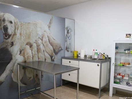 Un consultorio veterinario con una foto de un perro y cachorros en la pared.