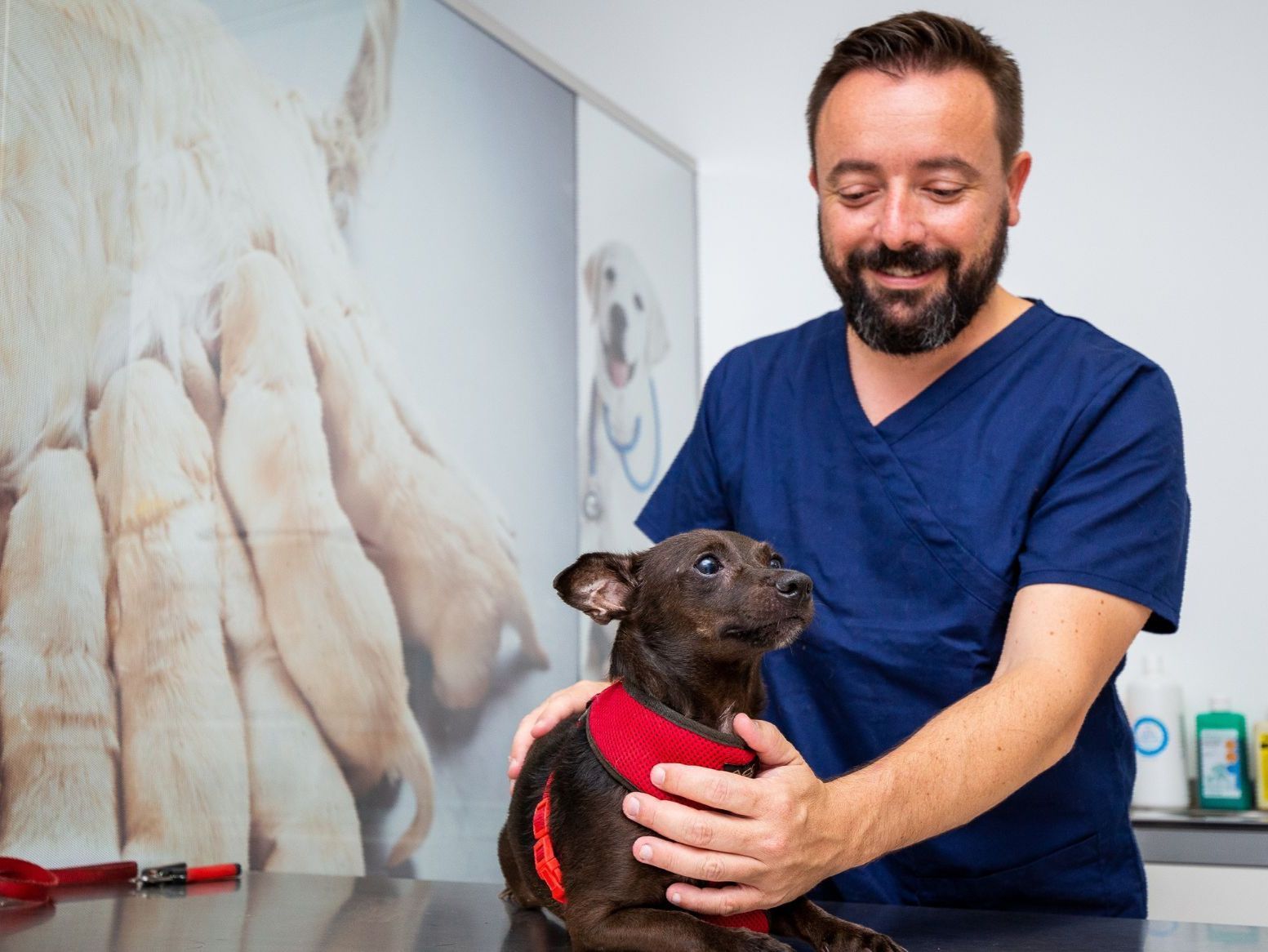 Un hombre sostiene un pequeño perro negro sobre una mesa.