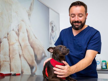Un hombre sostiene un pequeño perro negro sobre una mesa.