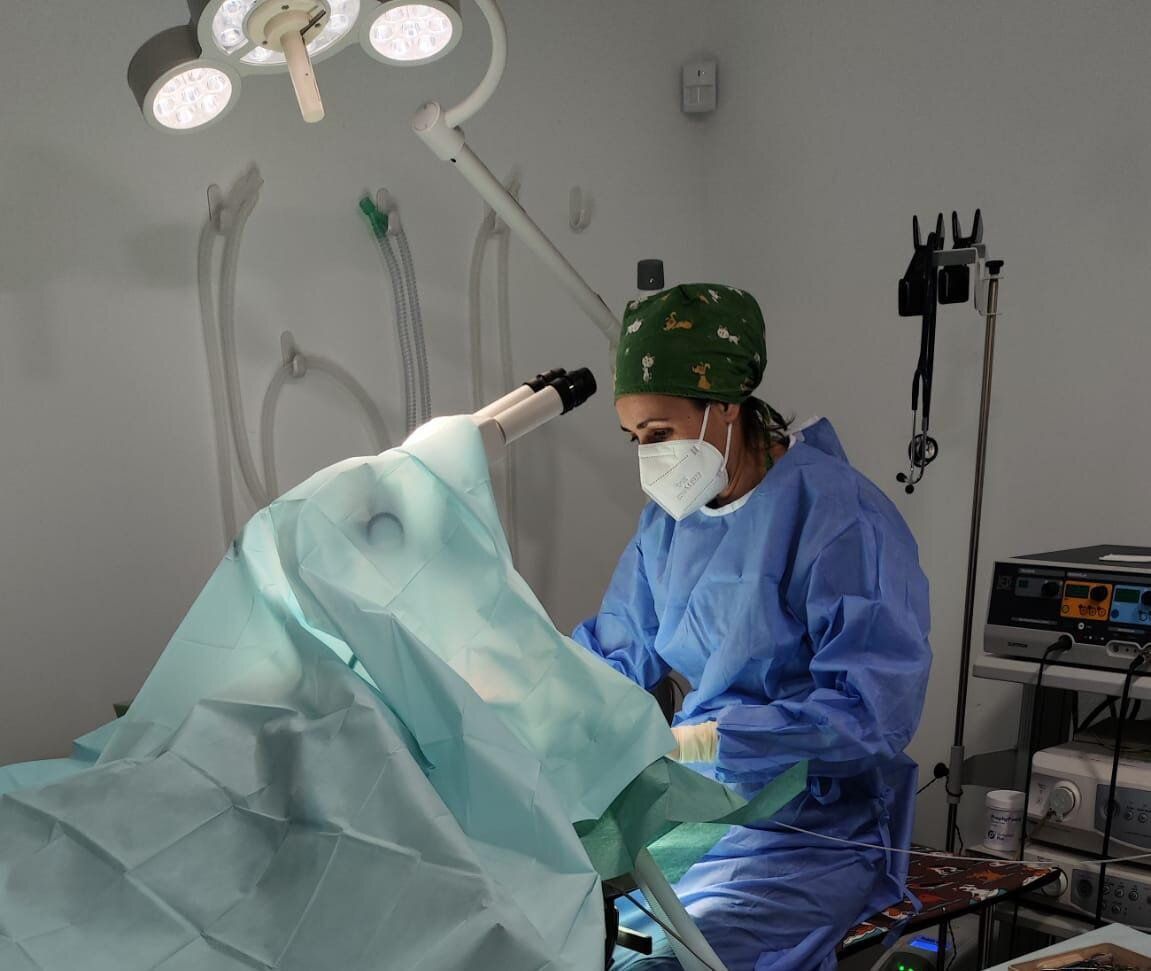 Un cirujano en un quirófano con una máscara puesta