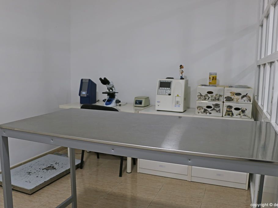 Una mesa de acero inoxidable en una habitación con un microscopio y otros equipos.