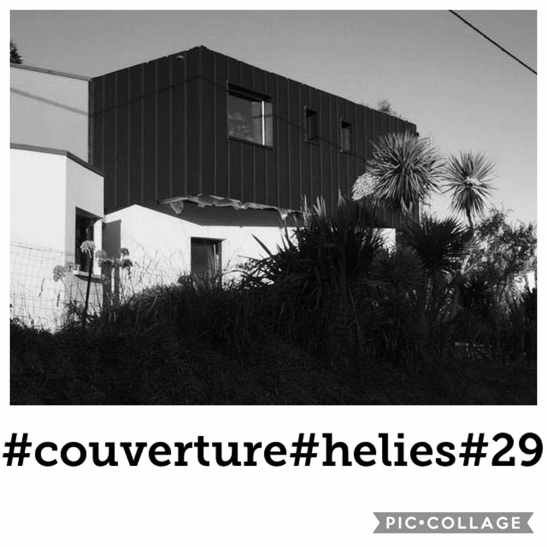 Couverture Helies 29