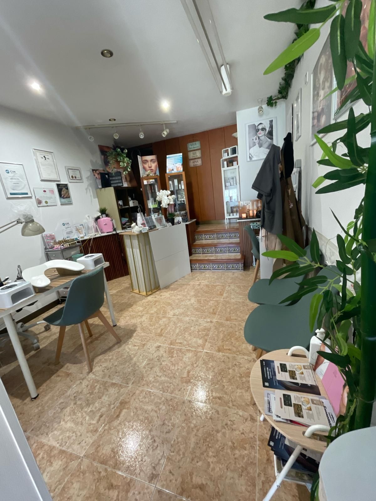 Interior de una pequeña cafetería con mesas, sillas, decoración en las paredes y plantas a lo largo del lado derecho.
