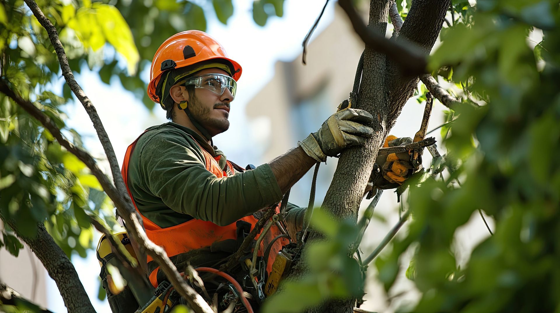 Un arboriste portant un casque et un gilet orange utilise une tronçonneuse dans un arbre.