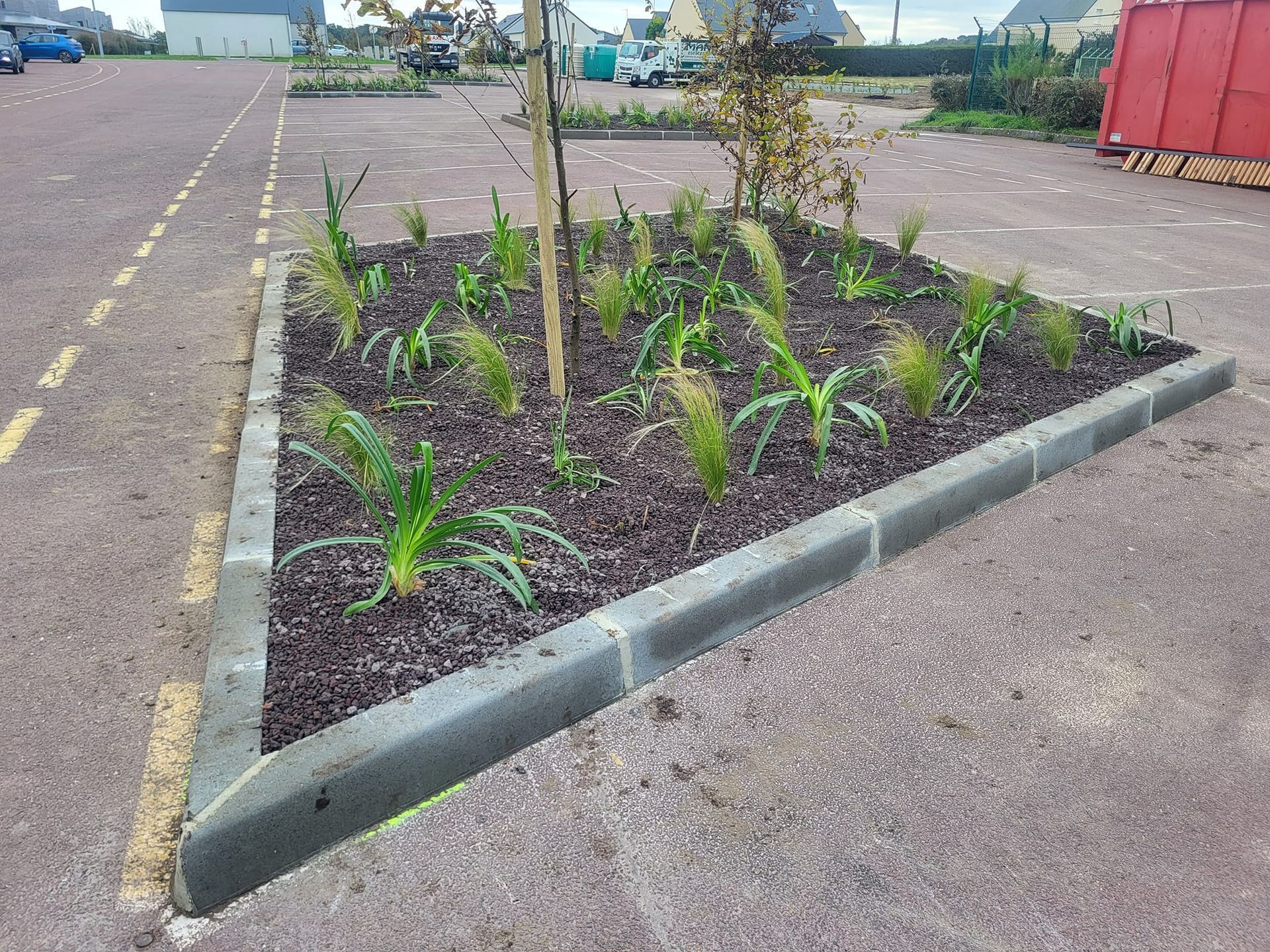 Massif de plantes avec bordures 