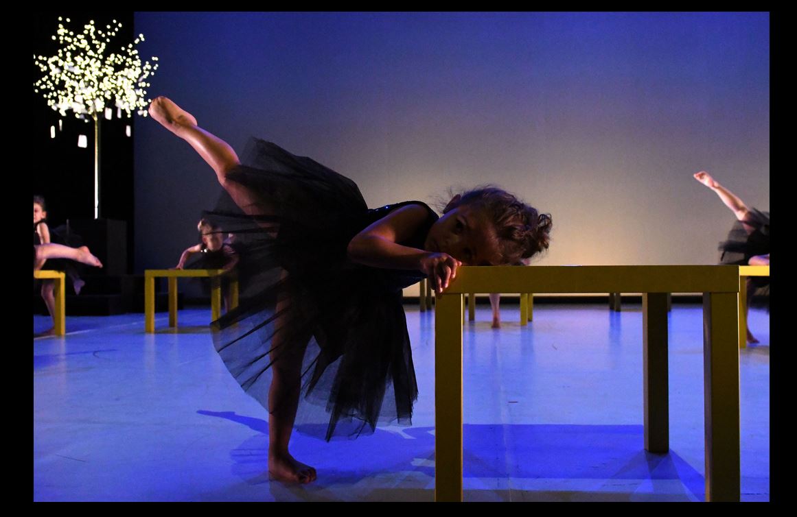 Danse pour tout âge