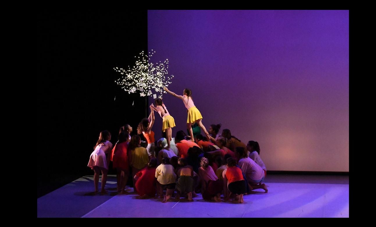 Danse et cours contemporains