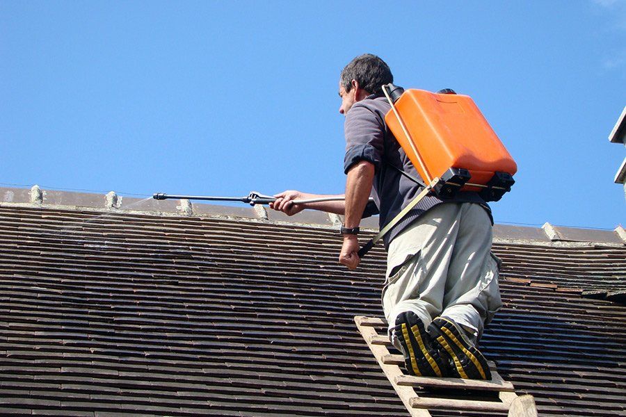Un homme qui applique un hydrofuge sur un toit