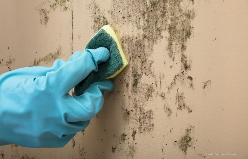 Person im Schutzanzug sprüht Insektizid auf eine Wand.