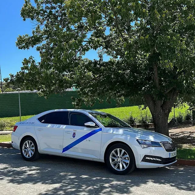 Un coche blanco con una franja azul en el lateral está aparcado debajo de un árbol.
