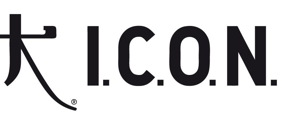 Logo ICON