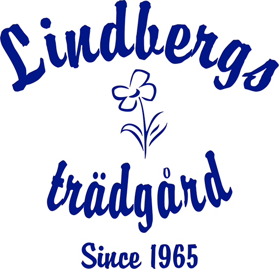 Lindbergs trädgård - Lindbergin puutarha