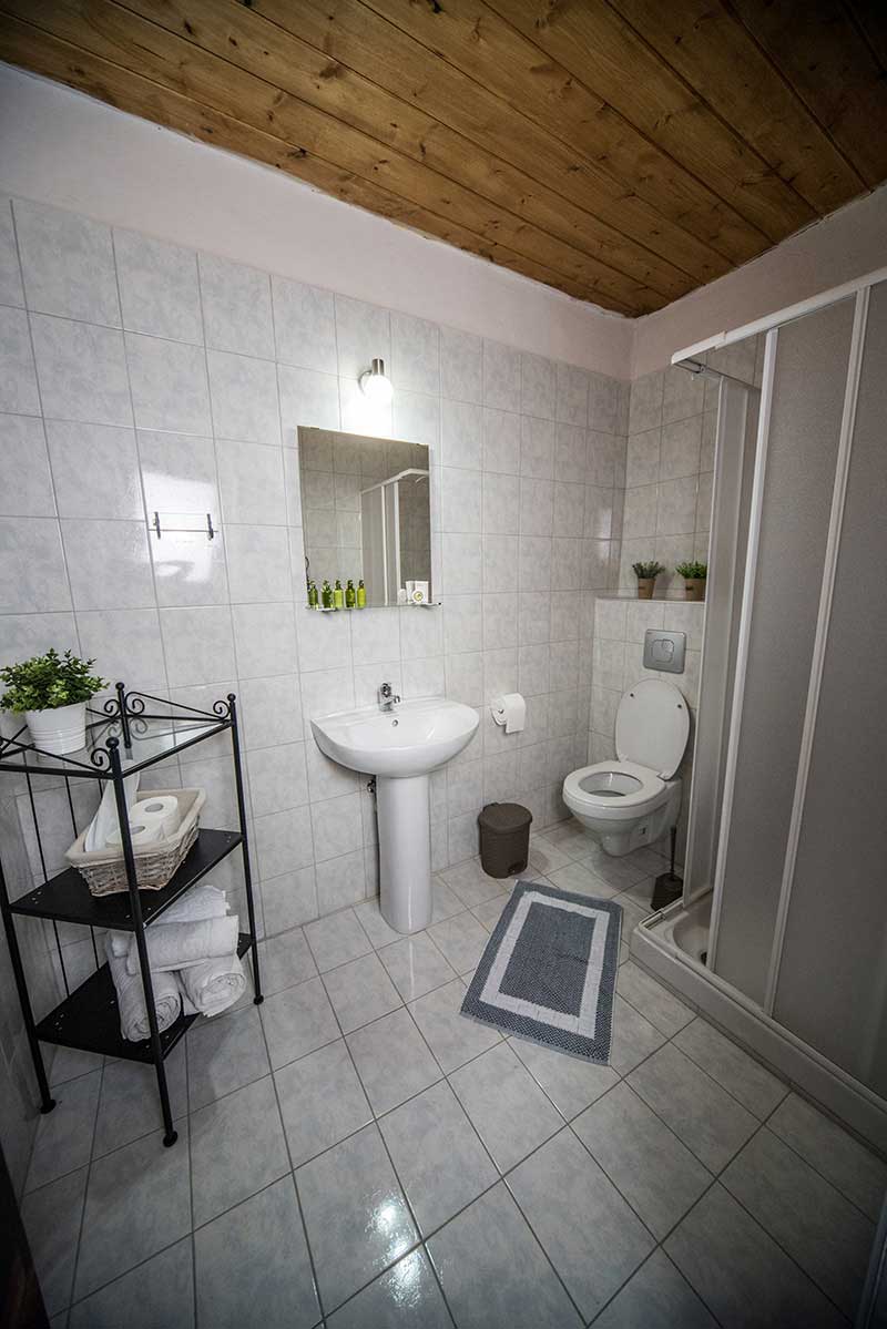 Πεντάκλινο δωμάτιο με Τζάκι - Nefeli Hotel