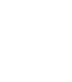 Le vrai conseil Pulsat