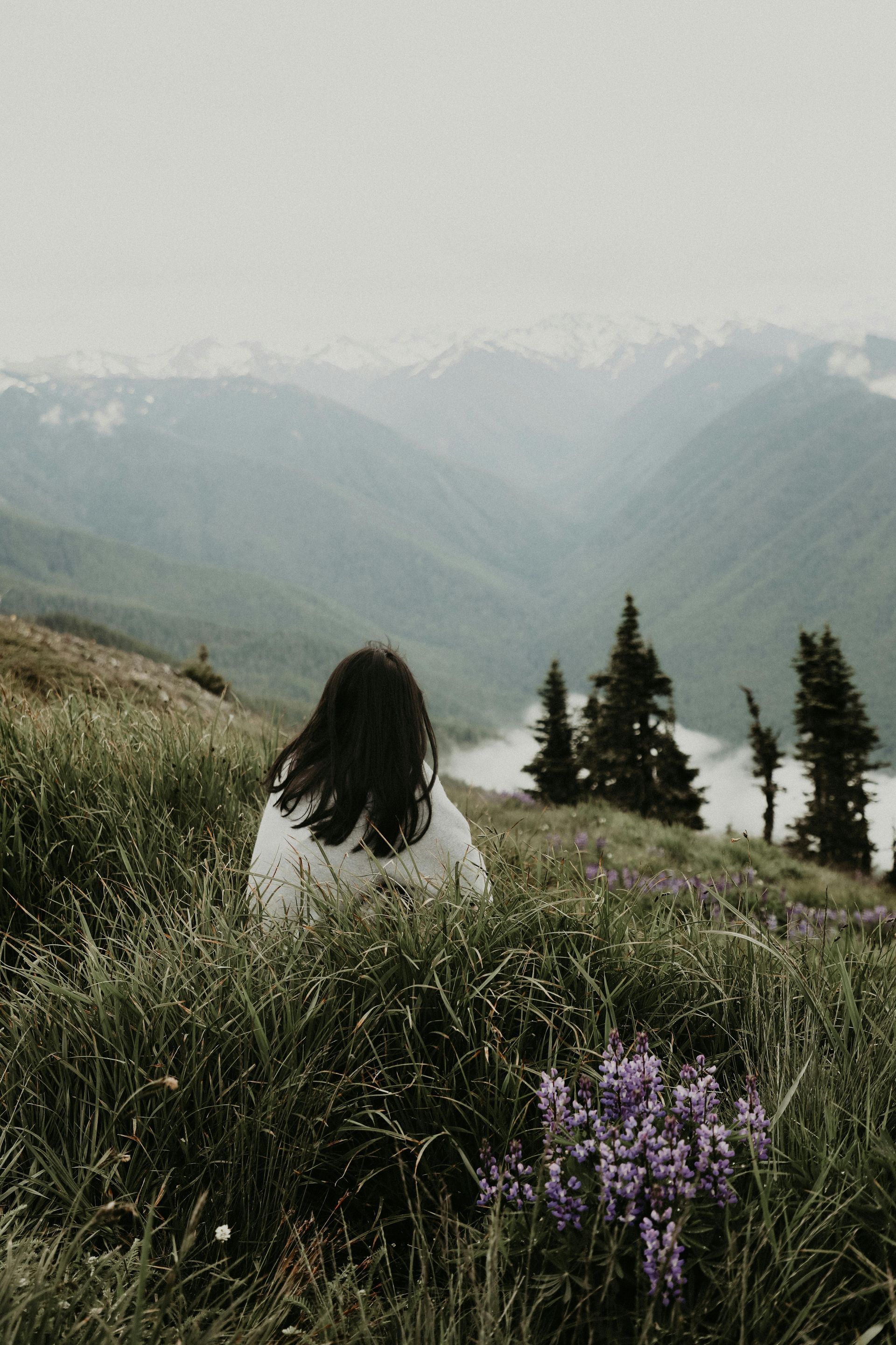 Person in tall grass overlooks mountains on a cloudy day; purple flowers in foreground.