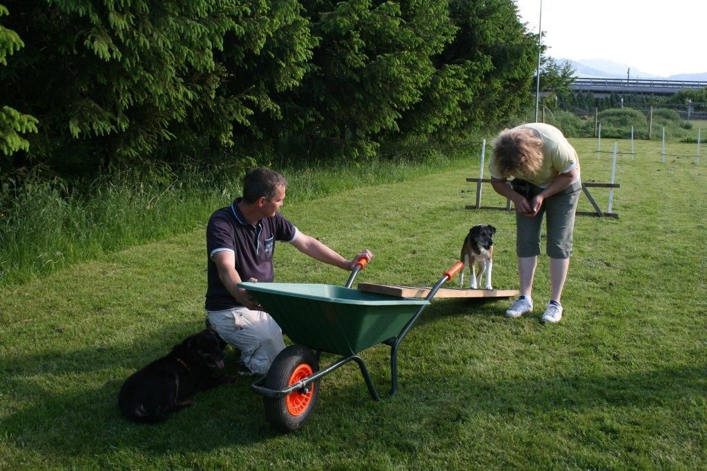 Edu'Canis - concours