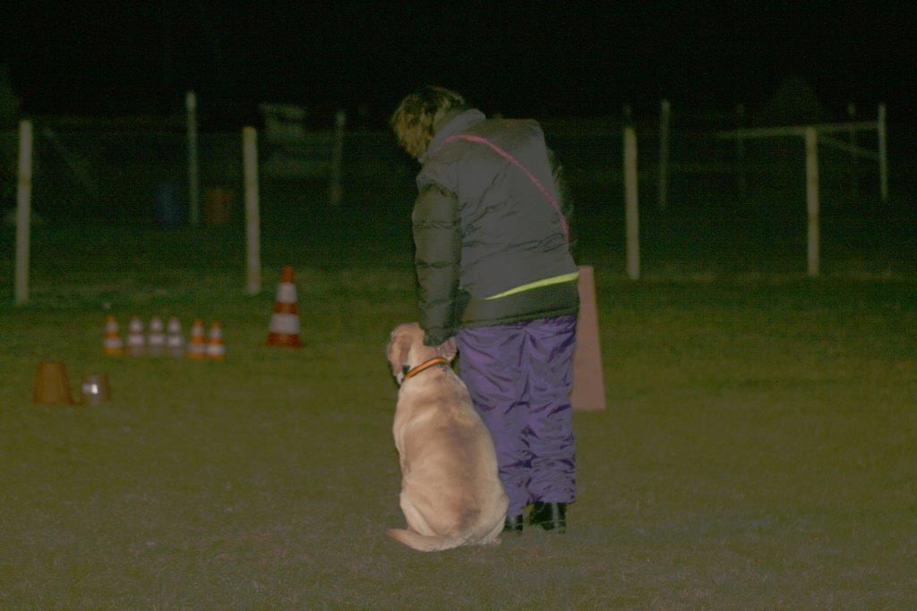 Edu'Canis - maître de chien