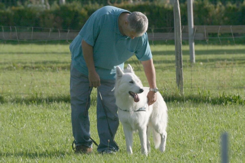 Edu'Canis - chien au lof