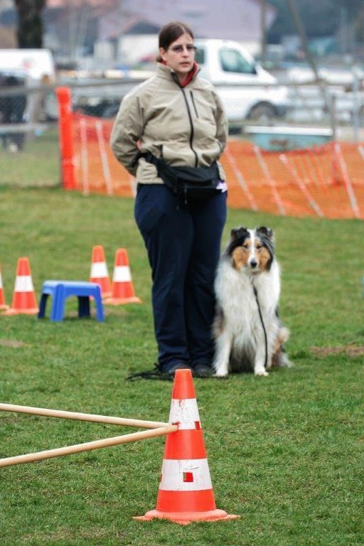 Edu'Canis - éducation pour jeunes chiens