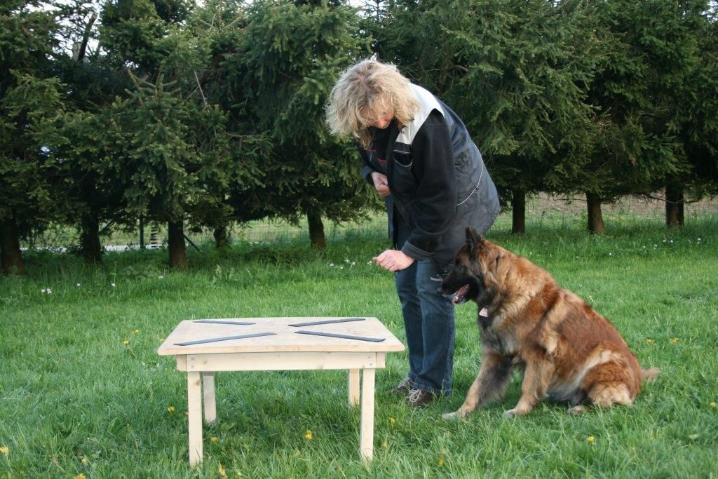 Edu'Canis - Office Vétérinaire Fédéral