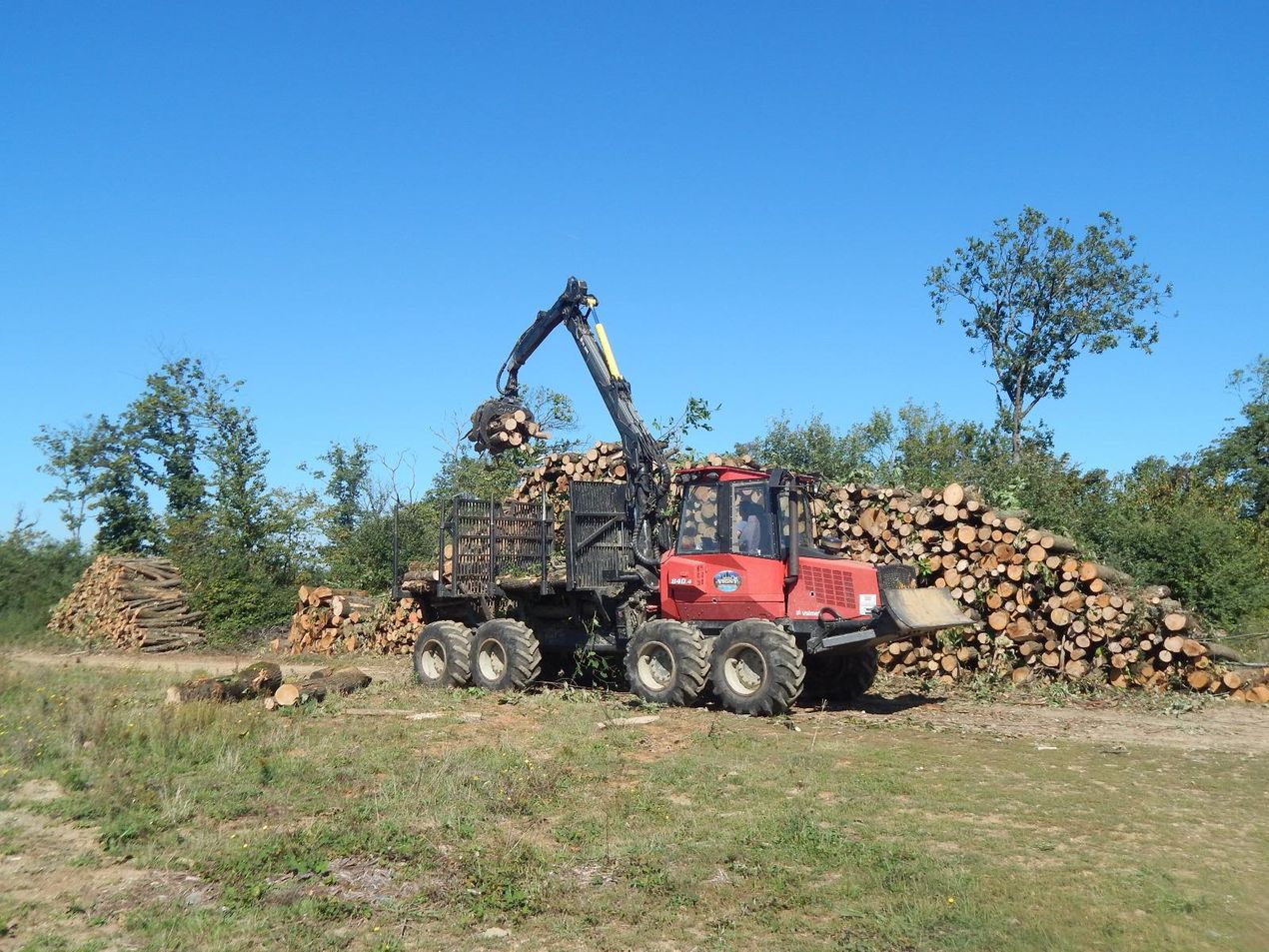 Pile 2 m porteur, Costanzo David, bois de chauffage dans le Gers 