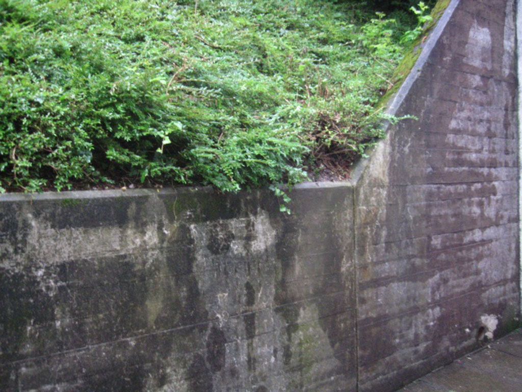 Maler-Werkstatt - Streuli & Fausch GmbH | Horgen